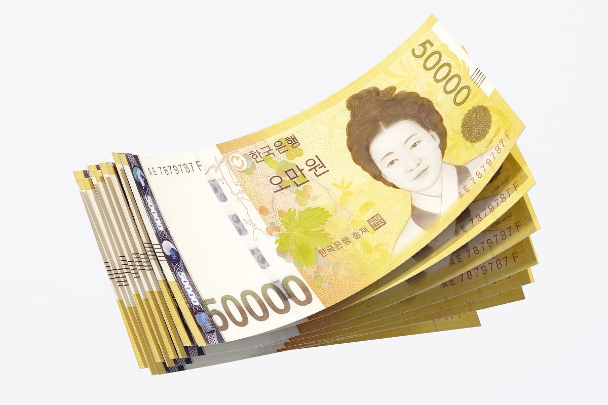 지폐. 중앙포토