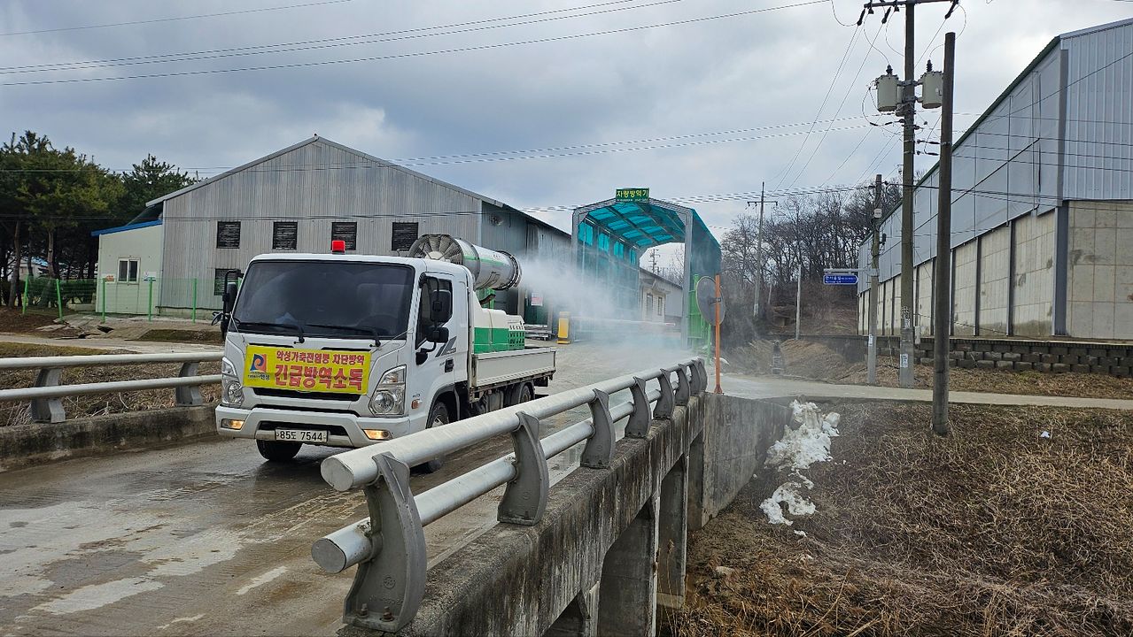 방역당국이 경기도 안성시 소재 아프리카돼지열병(ASF) 발생 돼지 농장에서 소독을 하고 있다. 사진 경기도
