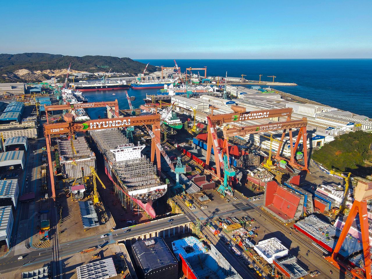 HD현대중공업 조선소 전경. 사진 HD현대중공업