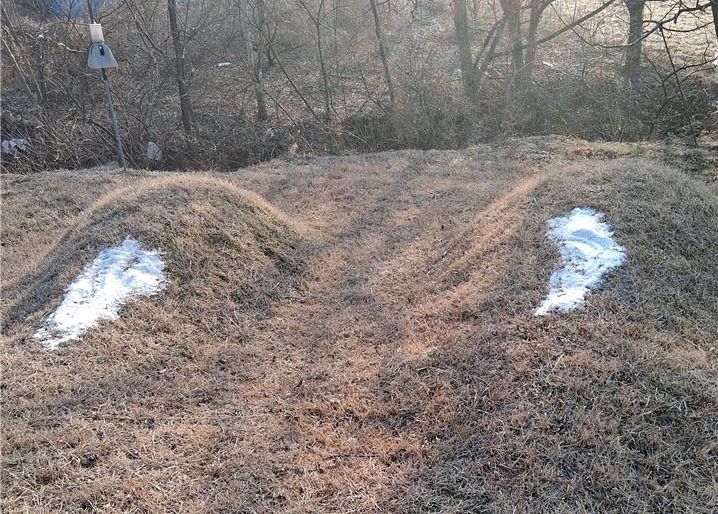 소금이 뿌려진 옥천 야산의 묘지. 연합뉴스
