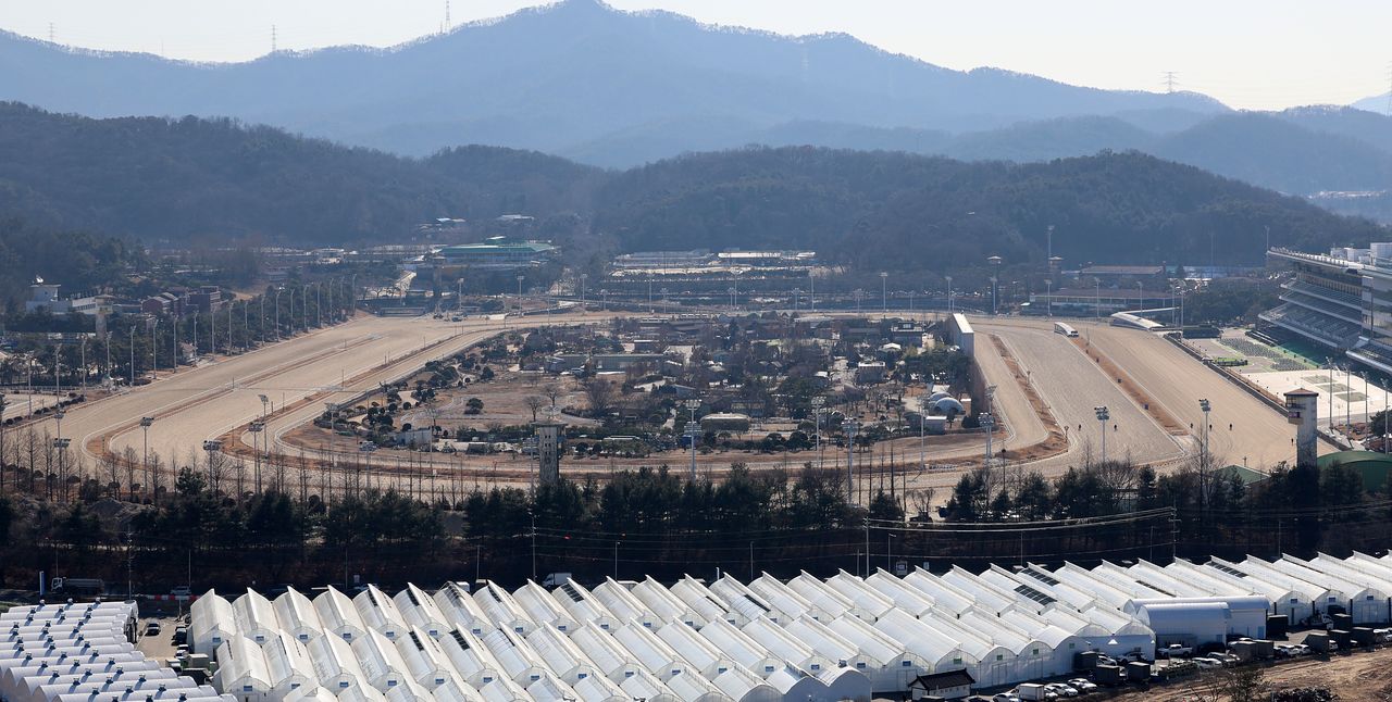 경기 과천 경마장. [뉴시스]