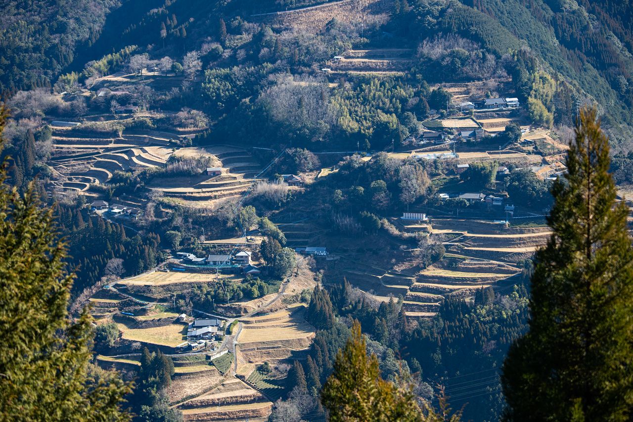 시바촌에 있는 계단식 논. 평지가 드물어서 비탈을 개간해서 농사를 짓는다.