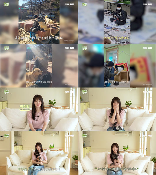 유튜브 영상 캡처