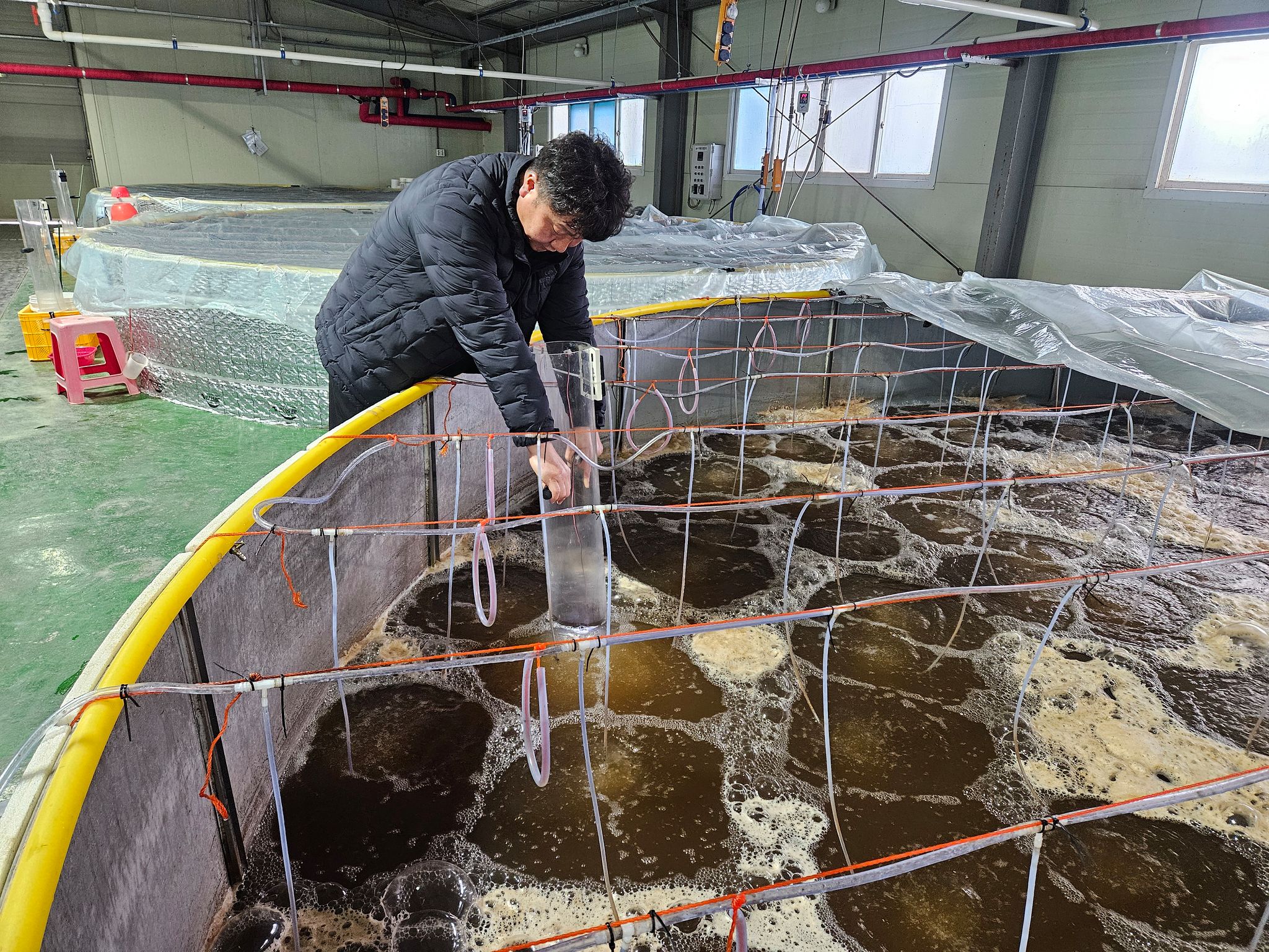 정의균 남원시 농업기술센터 내수면산업팀장이 지난 29일 센터 내 미꾸리 종자 생산시설을 점검하고 있다. 사진 남원시 농업기술센터