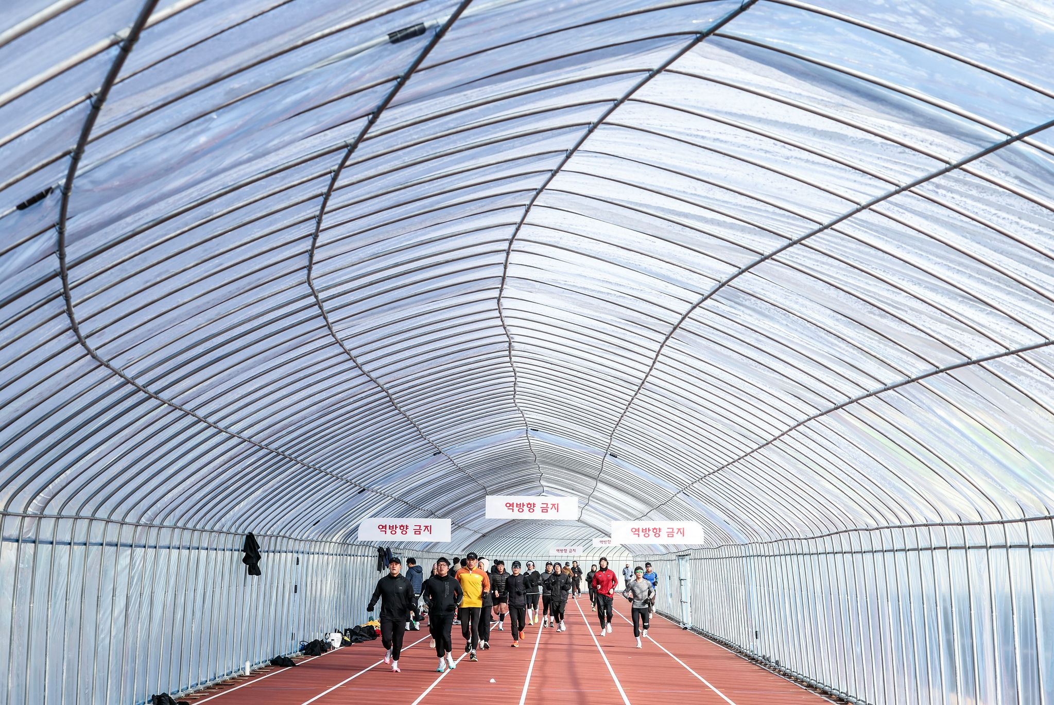 비닐하우스 트랙을 달리는 사람들.