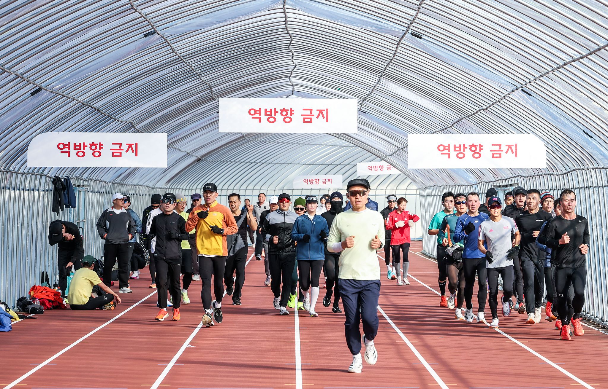 비닐하우스 트랙을 달리는 사람들.