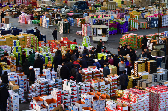 설 명절 제수용품 자료사진. *기사내용과 직접적인 관련 없습니다. 뉴스1
