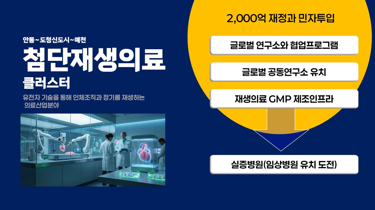 29일 경북도가 발표한 '북부권 경제산업 신활력 프로젝트' 중 포스트-백신 프로젝트 개요도. 사진 경북도