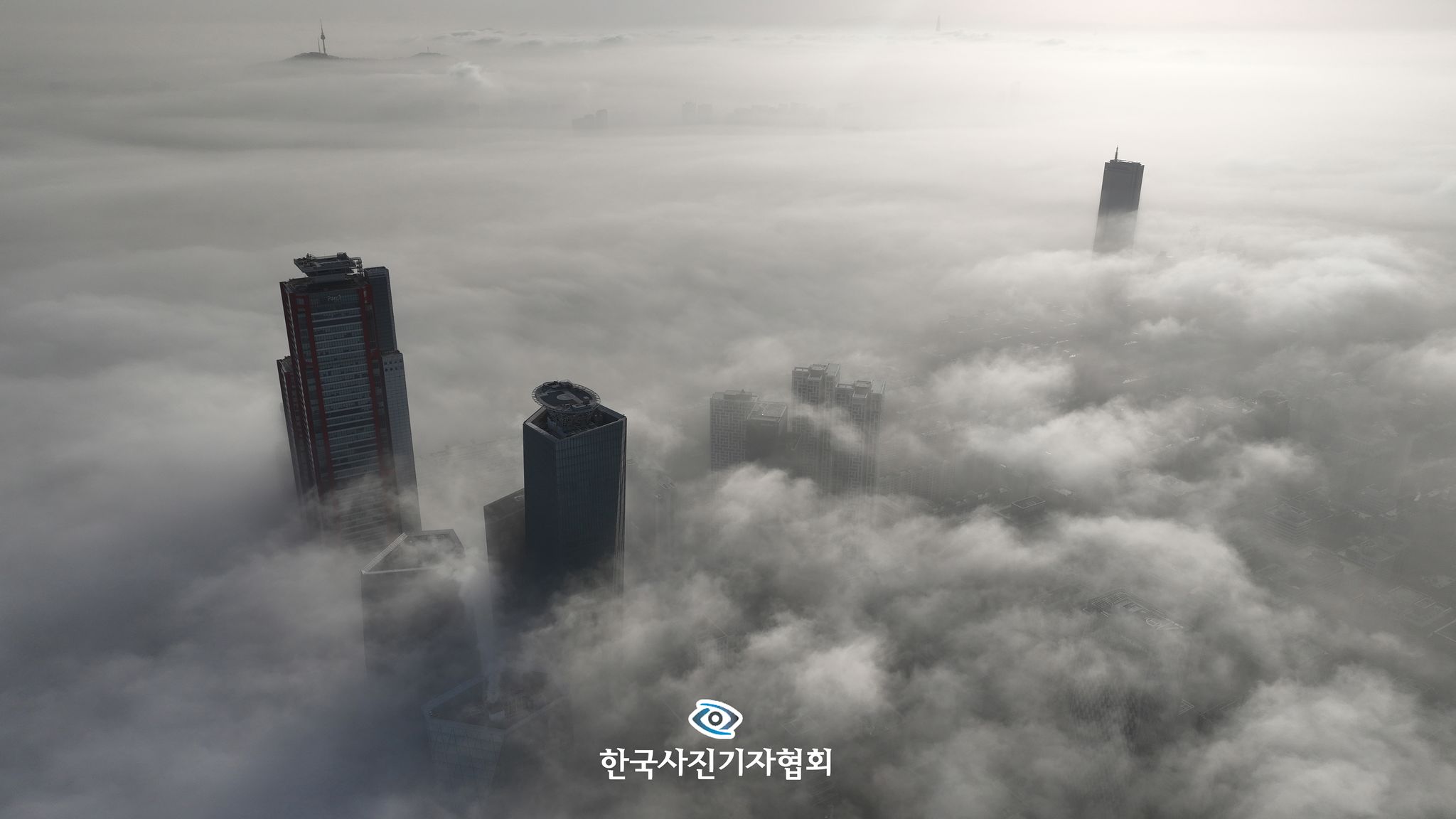 〈서울을 집어삼킨 짙은 안개 - 네이처 최우수상〉일교차가 컸던 2025년 3월 13일 서울 여의도 상공에서 바라본 도심이 안개로 가득 차 있다. 국민일보=최현규 기자