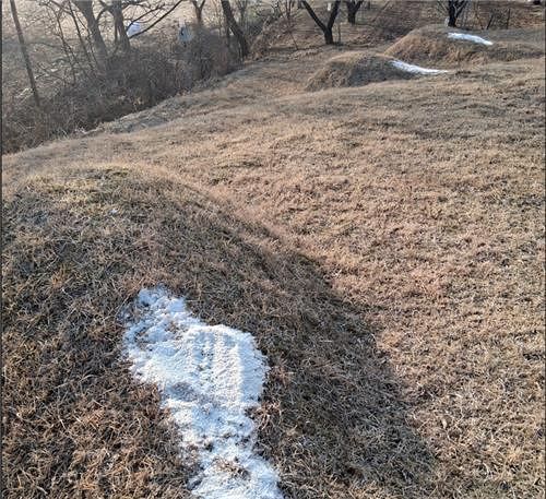 소금 뿌려진 묘소. 사진 독자, 연합뉴스