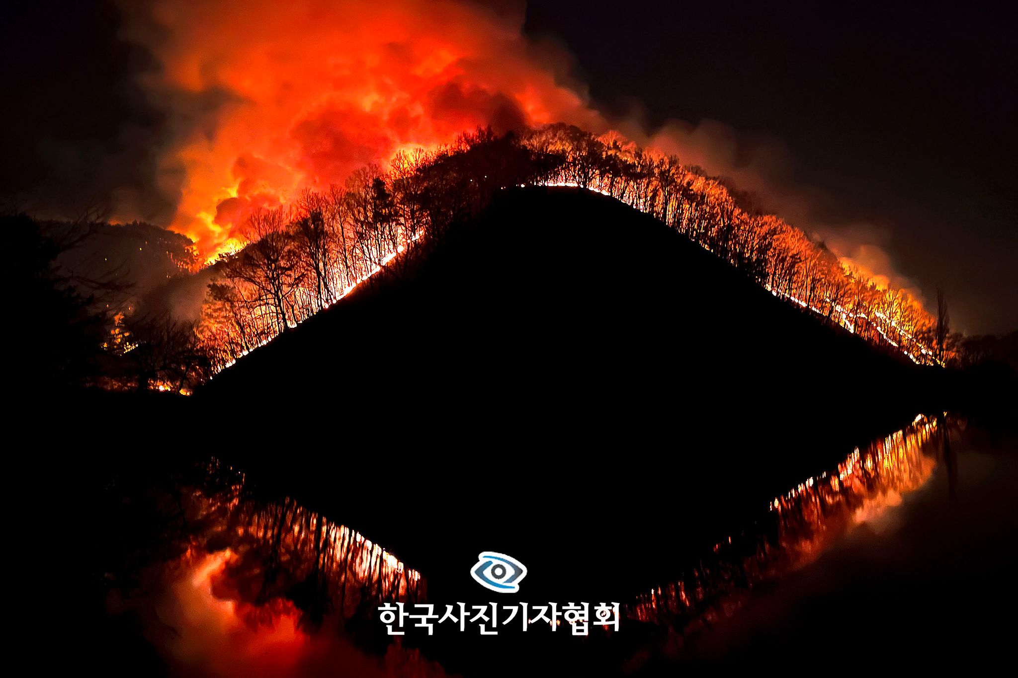 〈'마을 삼킬 듯' 입 벌린 거대한 화마 - 뉴스 우수상〉2025년 3월 23일 어둠이 짙게 깔린 경북 의성읍 업리 동사곡저수지 뒤편 야산에 산불이 입을 벌린 거대한 괴물처럼 번지고 있다. 뉴스1=공정식 기자
