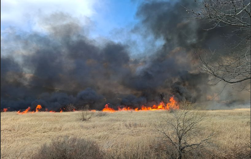창원 수산대교 아래 갈대밭에서 2일 오후 화재가 났다. 건조한 날씨에 불은 순식간에 번졌다. 사진 창원소방본부