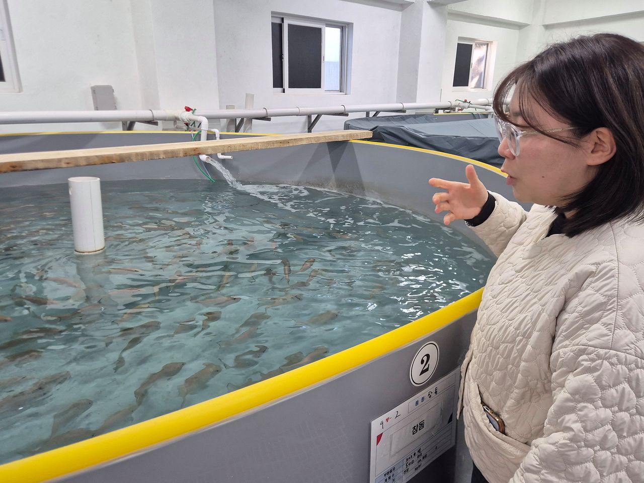 국립수산과학원 육종연구센터 임채현 연구사가 저수온 육종계획을 설명하고 있다. 김민주 기자