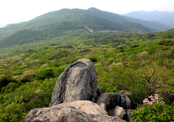  금정산 정상 고당봉 인근 금샘 모습. [사진 부산시]