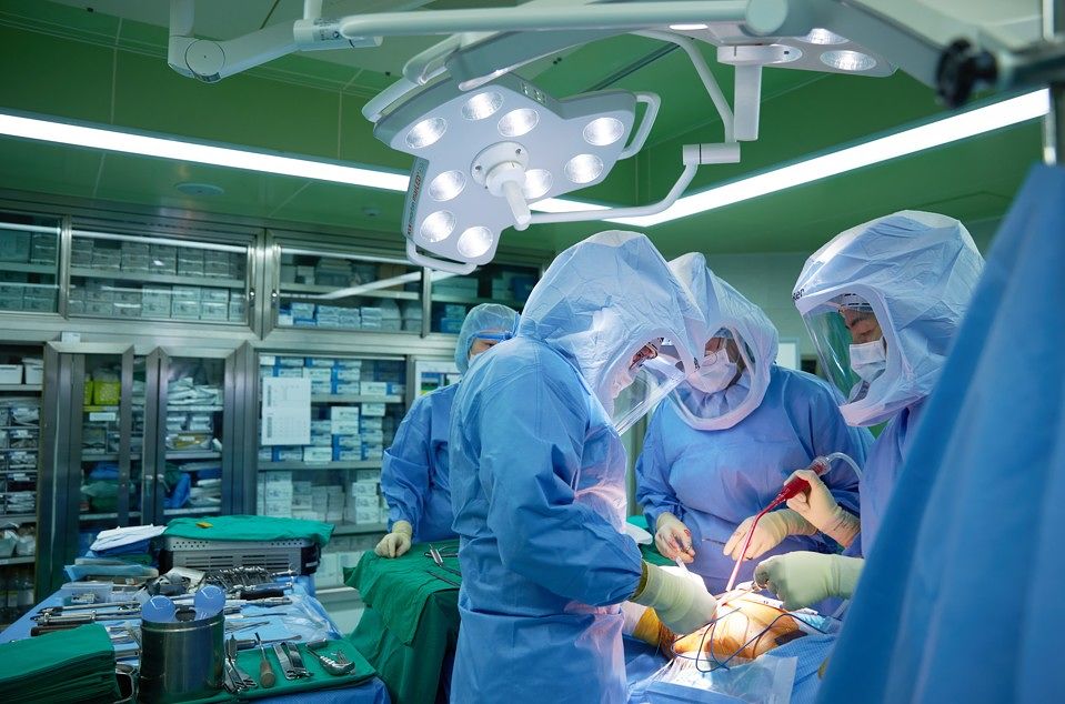 경희대학교가 2월 6일(금) JW 메리어트 호텔 서울에서 제1회 ‘매그놀리아 헬스 넥서스(Magnolia Health Nexus)’를 개최한다.