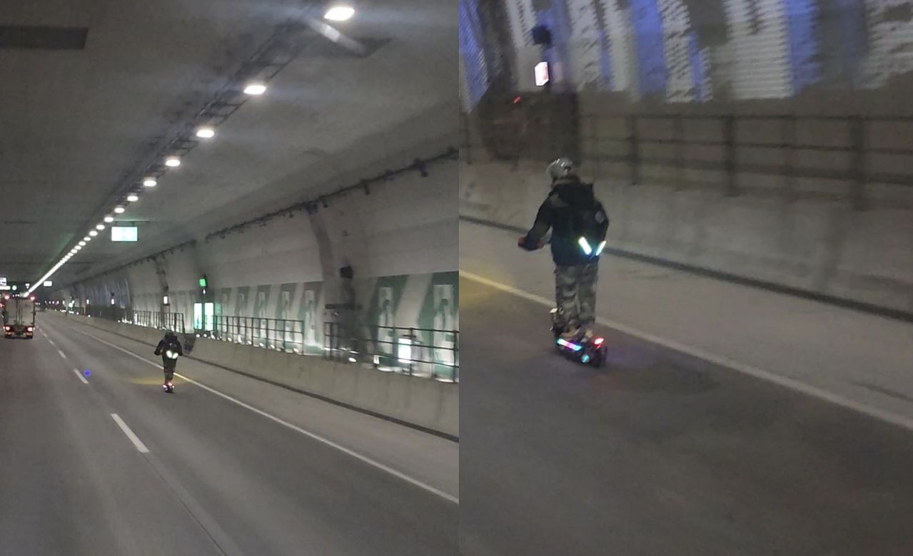 사진 보배드림 캡처