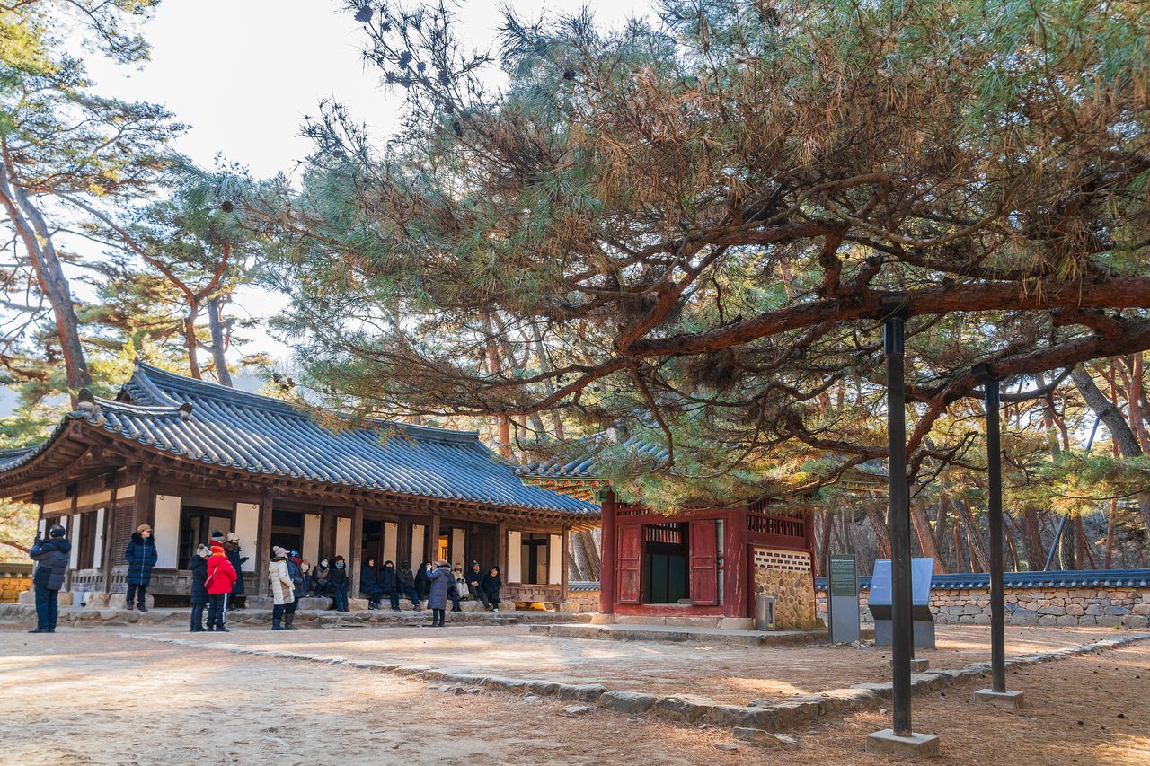 청령포 숲 안쪽에 단종이 머문 어소가 재현돼 있다. 본채와 단묘유지비를 향해 절을 올리는 듯 몸을 낮춘 소나무는 일명 ‘엄흥도 소나무’로 불린다. 엄흥도는 단종의 시신을 수습한 충절의 상징이다.