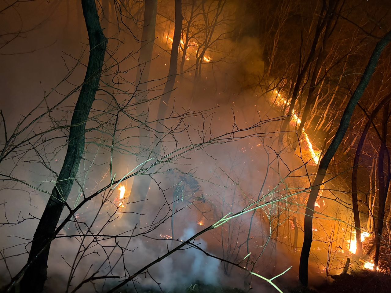 8일 오전 경북 경주시 문무대왕면 입천리 야산에서 산불이 발생해 소방당국이 진화 작업을 하고 있다. 사진 경북소방본부