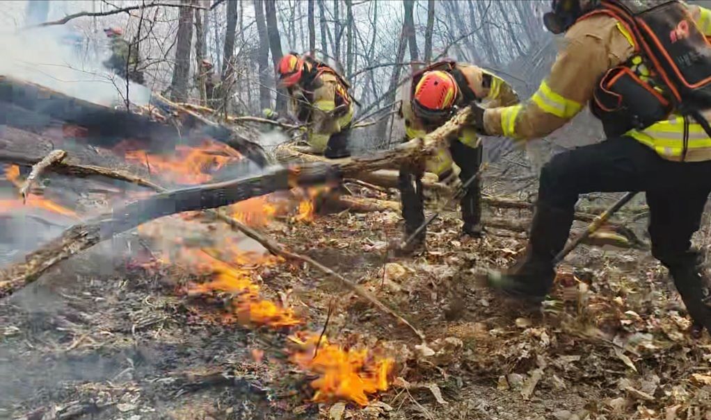 8일 경북 경주시 문무대왕면 입천리에서 발생한 산불 현장에서 소방 당국이 진화에 나서고 있다. 사진 경북소방본부