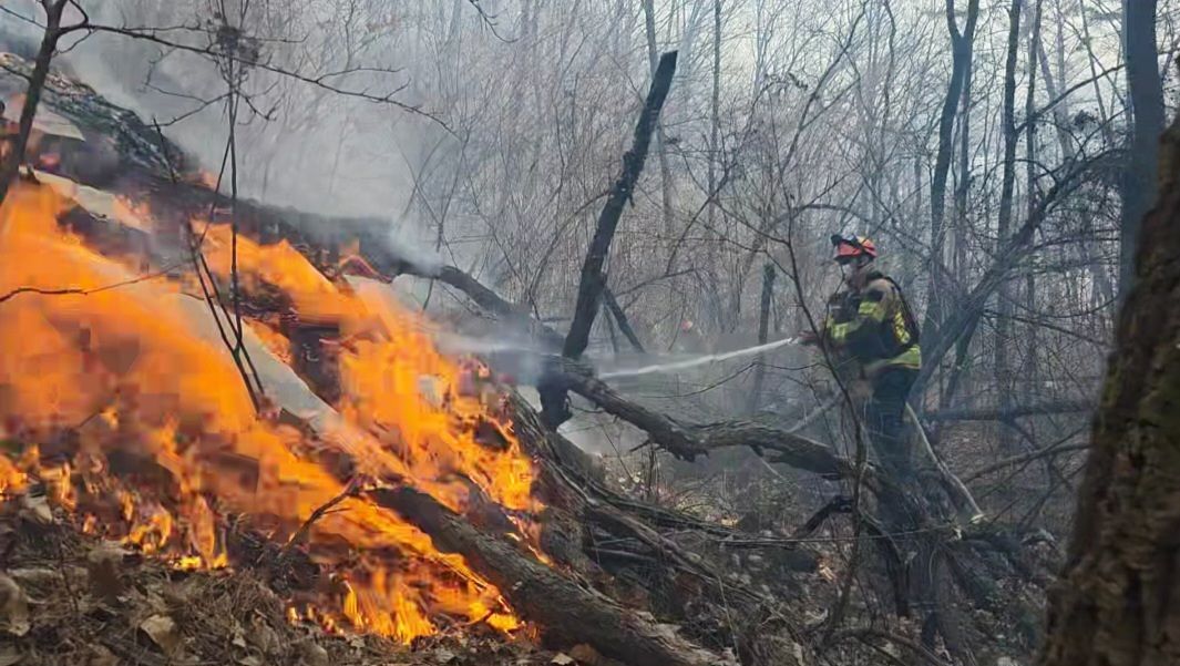 8일 경북 경주시 문무대왕면 입천리에서 발생한 산불 현장에서 소방 당국이 진화에 나서고 있다. 사진 경북소방본부