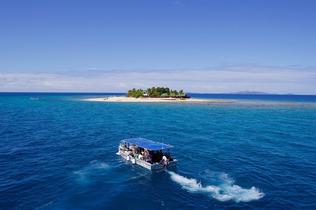 피지. 사진 pixabay