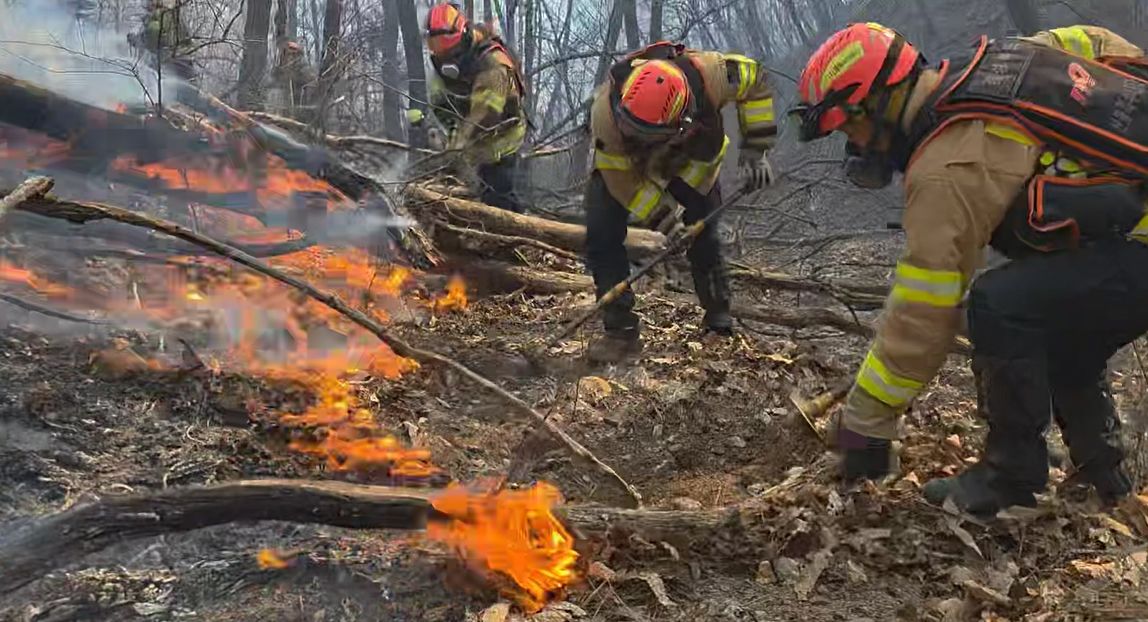 8일 경북 경주시 문무대왕면 입천리에서 소방대원들이 전날부터 이어진 산불을 진화하고 있다. 사진 경북소방본부