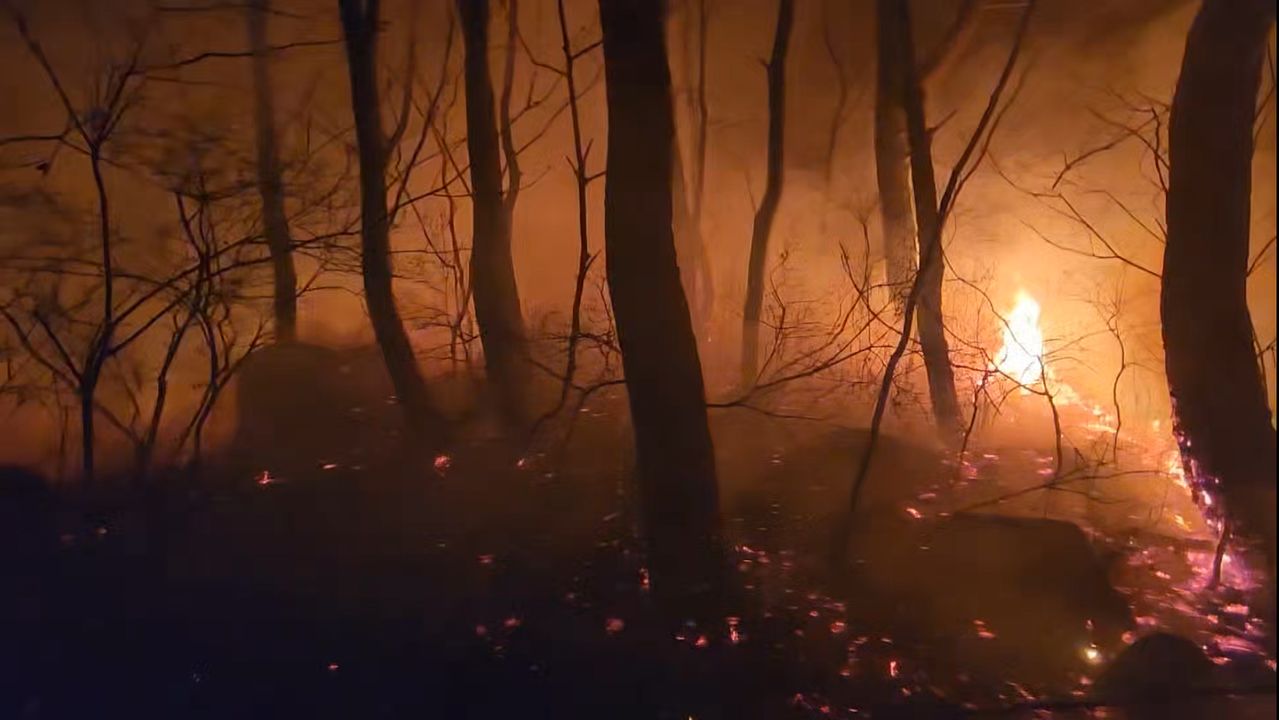 금정봉 산불 현장. 사진 부산소방재난본부