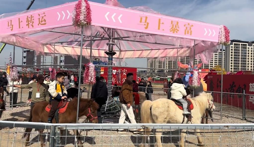 중국에서 논란이 된 살아있는 회전목마. 사진 더우인 캡처