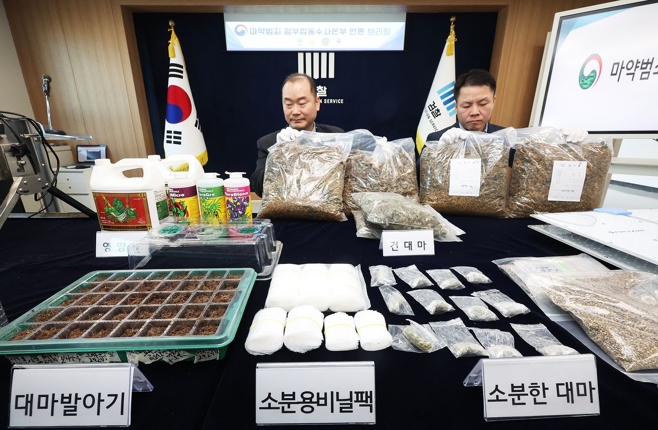도심과 주택가 한가운데에 전문 대마 재배시설을 설치해 대량의 대마를 재배 및 유통한 일당이 구속돼 재판에 넘겨졌다. 연합뉴스