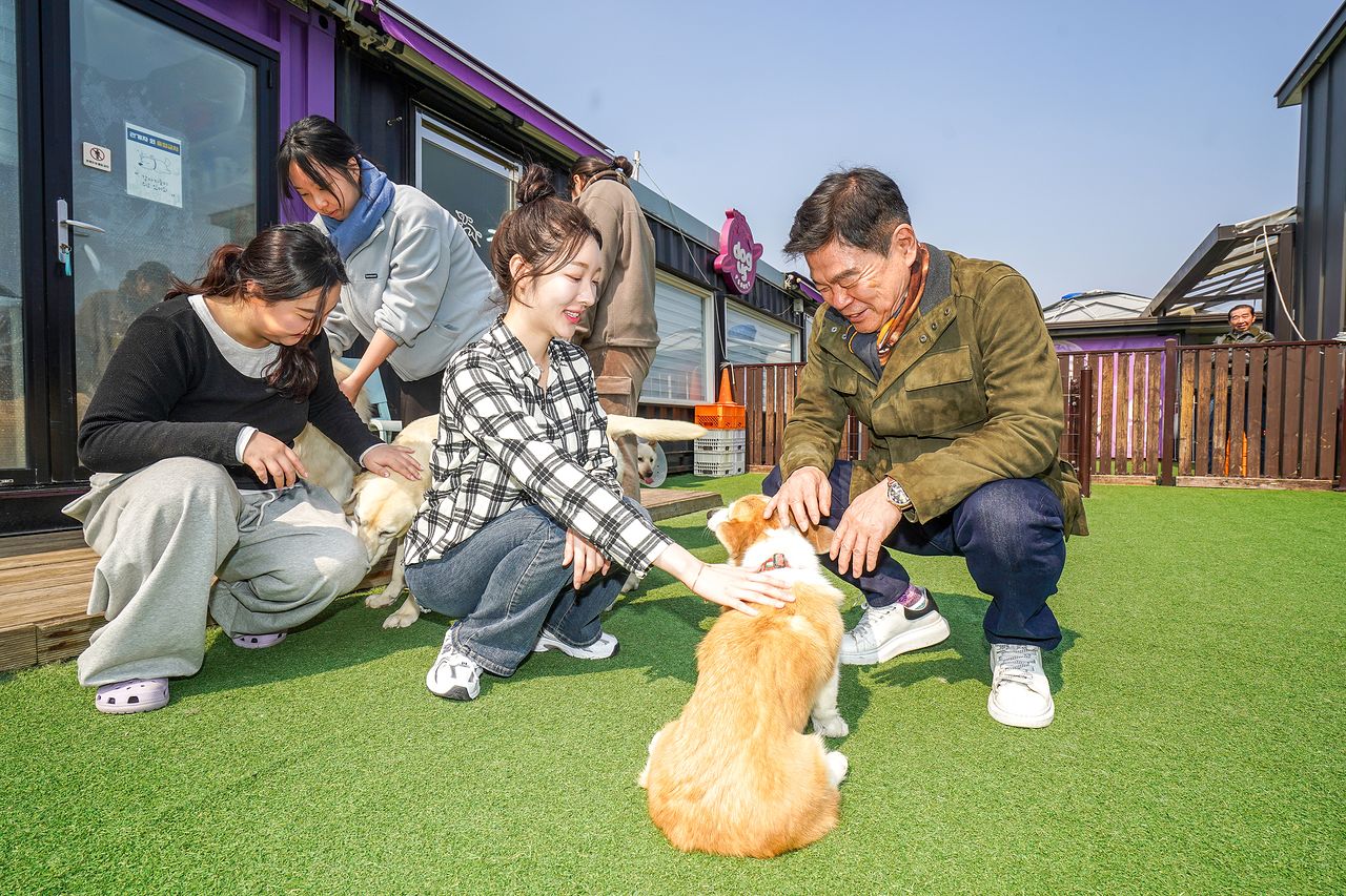 서울 동대문구는 설 명절 연휴 기간 우리동네 펫위탁소 서비스를 제공한다. [사진 동대문구청]