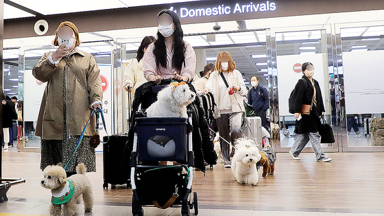 지난 2023년 3월 16일, 제주국제공항 국내선 청사에서 국내 최초로 운항한 반려견 동반 전세기 탑승객들이 내리고 있다. 뉴스1