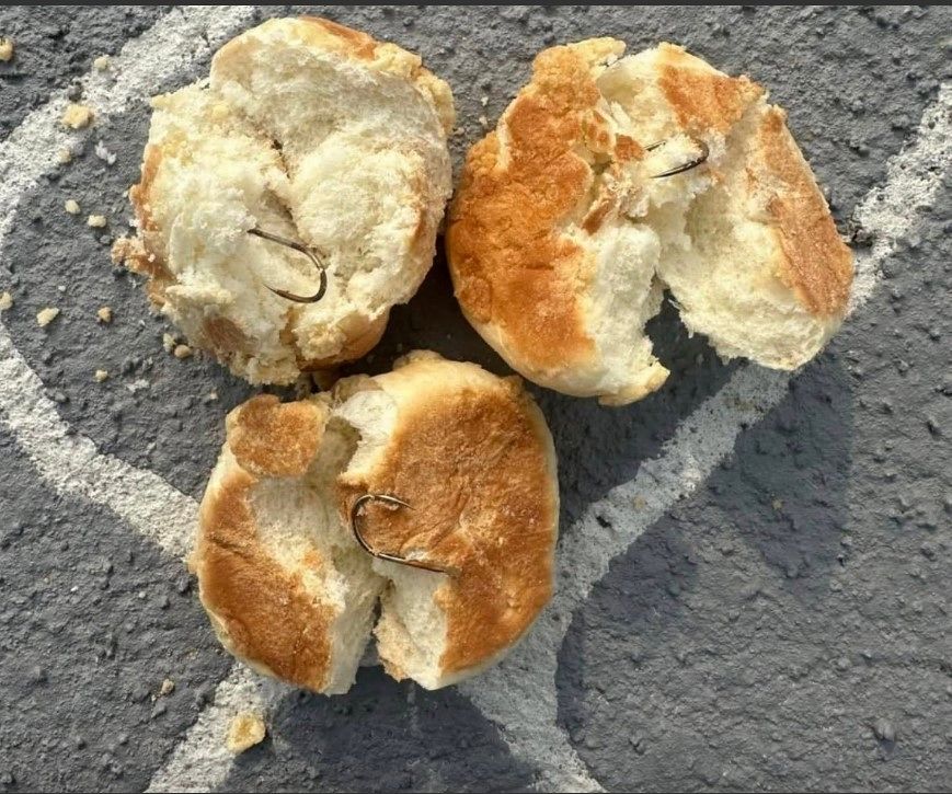 14일 전남 나주시 나주반려견놀이터 내 쓰레기통에서 낚시바늘이 박힌 빵이 발견됐다. 사진은 소셜미디어(SNS)에 올려진 것. SNS 게시글 갈무리