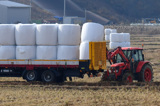 지난해 11월 경북 포항시 북구 흥해읍 한 벼 농가가 곤포 사일리지 작업을 하고 있다. 뉴스1