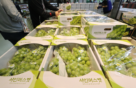 샤인머스켓이 2kg 단위 박스로 포장돼 있다. 연합뉴스