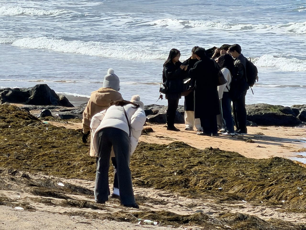 관광객이 지난 9일 오후 제주시 이호해수욕장과 해안 등을 뒤덮은 괭생이모자반을 바라보고 있다. 최충일 기자