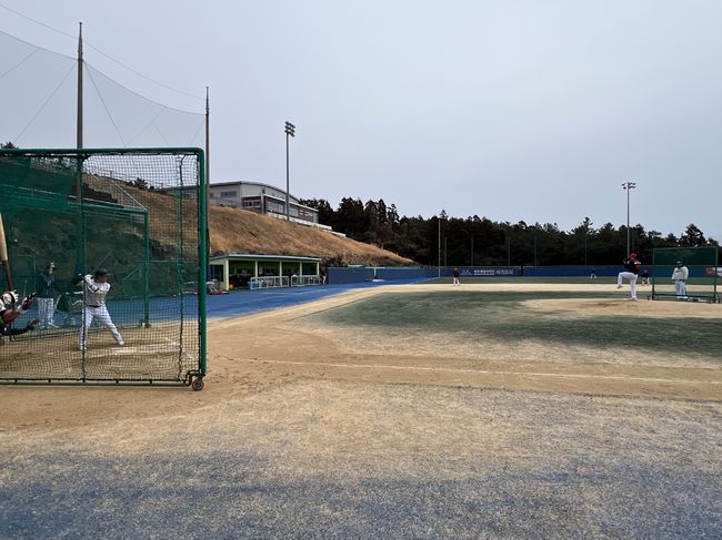 울산 웨일즈 제공 