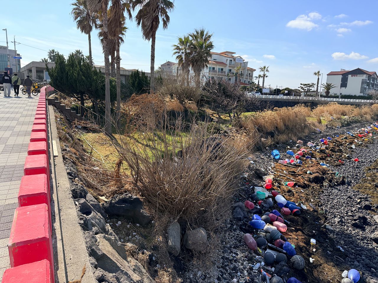 이달 9일 오후 제주시 이호동 해안을 뒤덮은 폐어구와 괭생이모자반. 최충일 기자