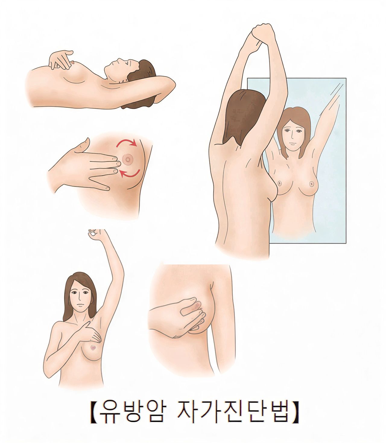 유방암 자가진단법