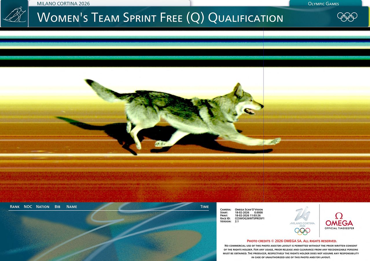 18일(현지시간) 열린 2026 밀라노·코르티나담페초 동계 올림픽 여자 크로스컨트리스키 팀 스프린트 예선 경기에서 난입한 개가 결승선을 통과하는 모습. 오메가=로이터