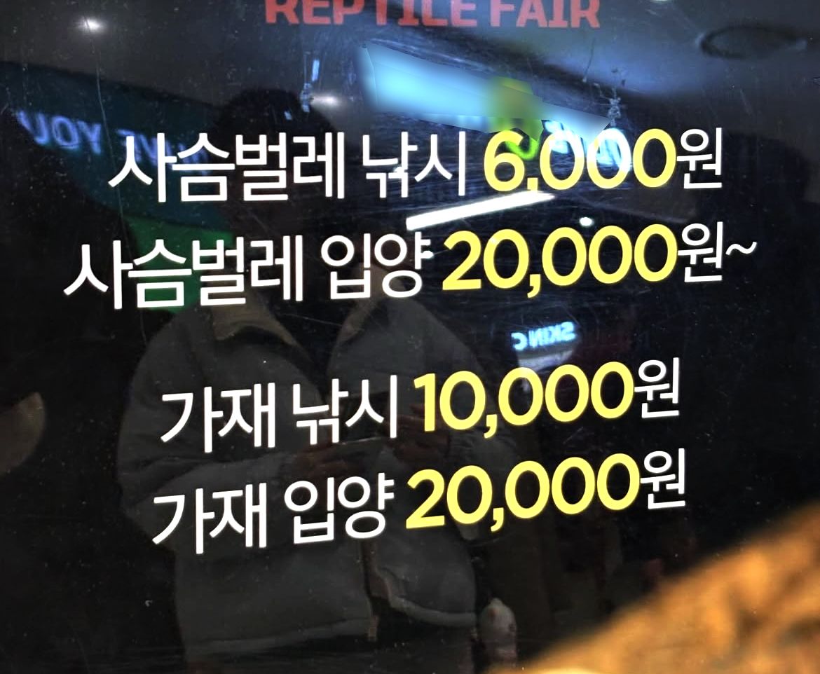 체험행사 안내문. 사진 스레드 캡처