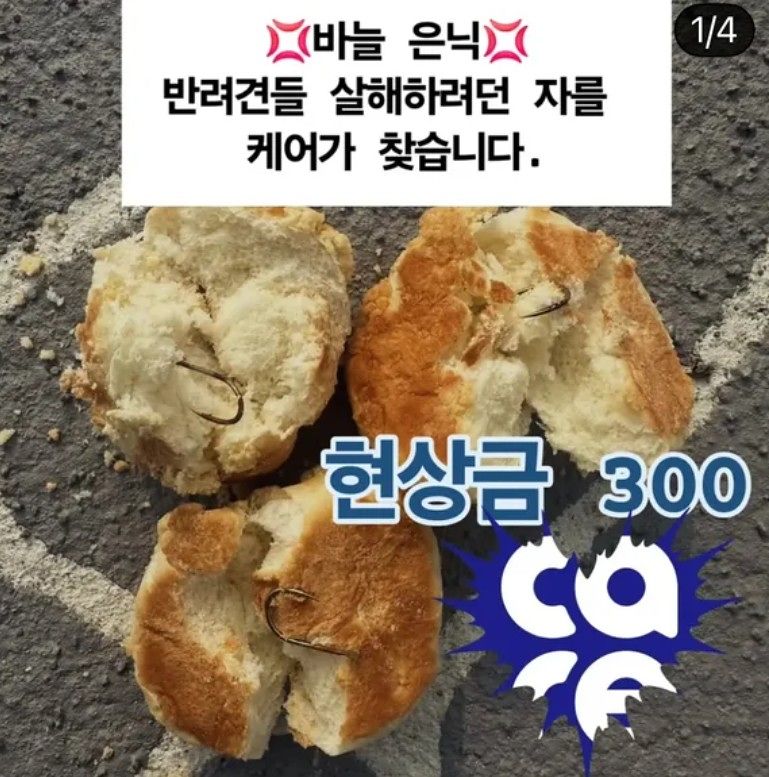 동물보호단체 ‘케어’가 나주 반려견 놀이터에 낚싯바늘이 박힌 빵이 살포된 사건과 관련해 현상금 300만원을 내걸었다. 사진 케어 인스타그램 캡처