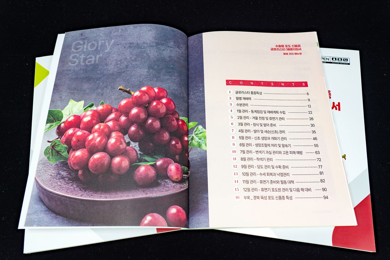 경북농업기술원이 발간한 글로리스타 재배 지침서 모습. 사진 경북도