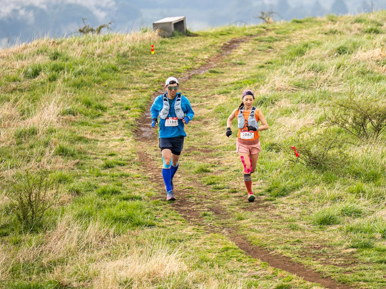 2025 제주국제트레일런 참가자들이 제주도내 오름 코스를 달리고 있다. 사진 제주관광공사