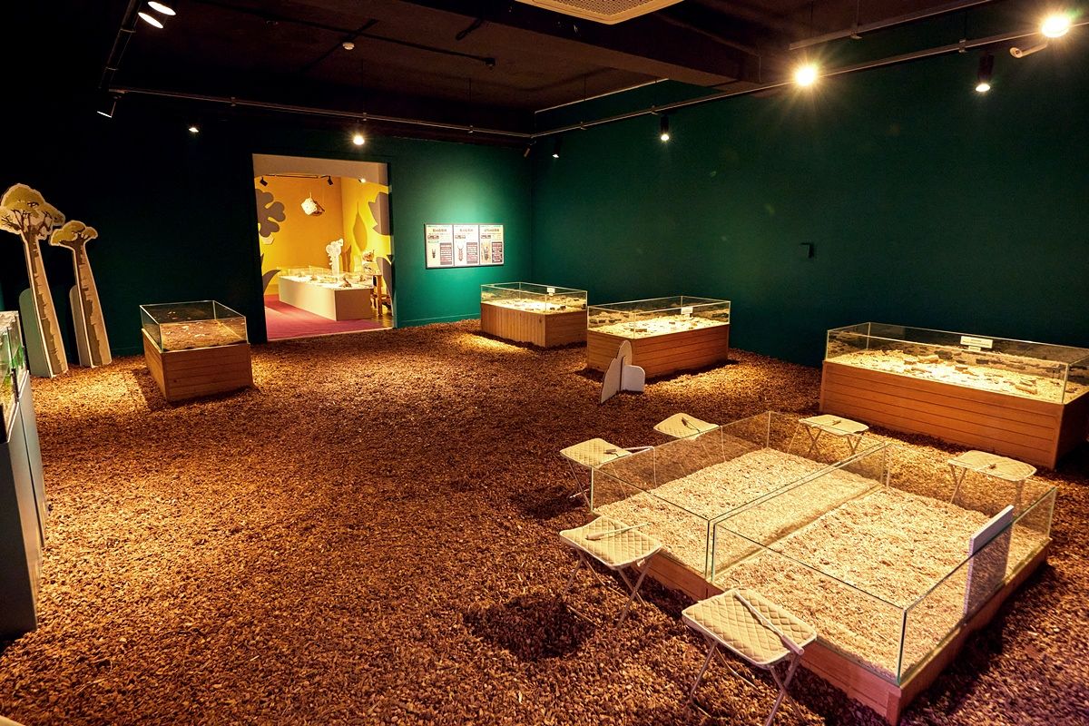 자연 생태계의 공생과 순환이 주제인 웃다리문화촌 특별전 '2026 생태야 놀자' 전시장 전경. 