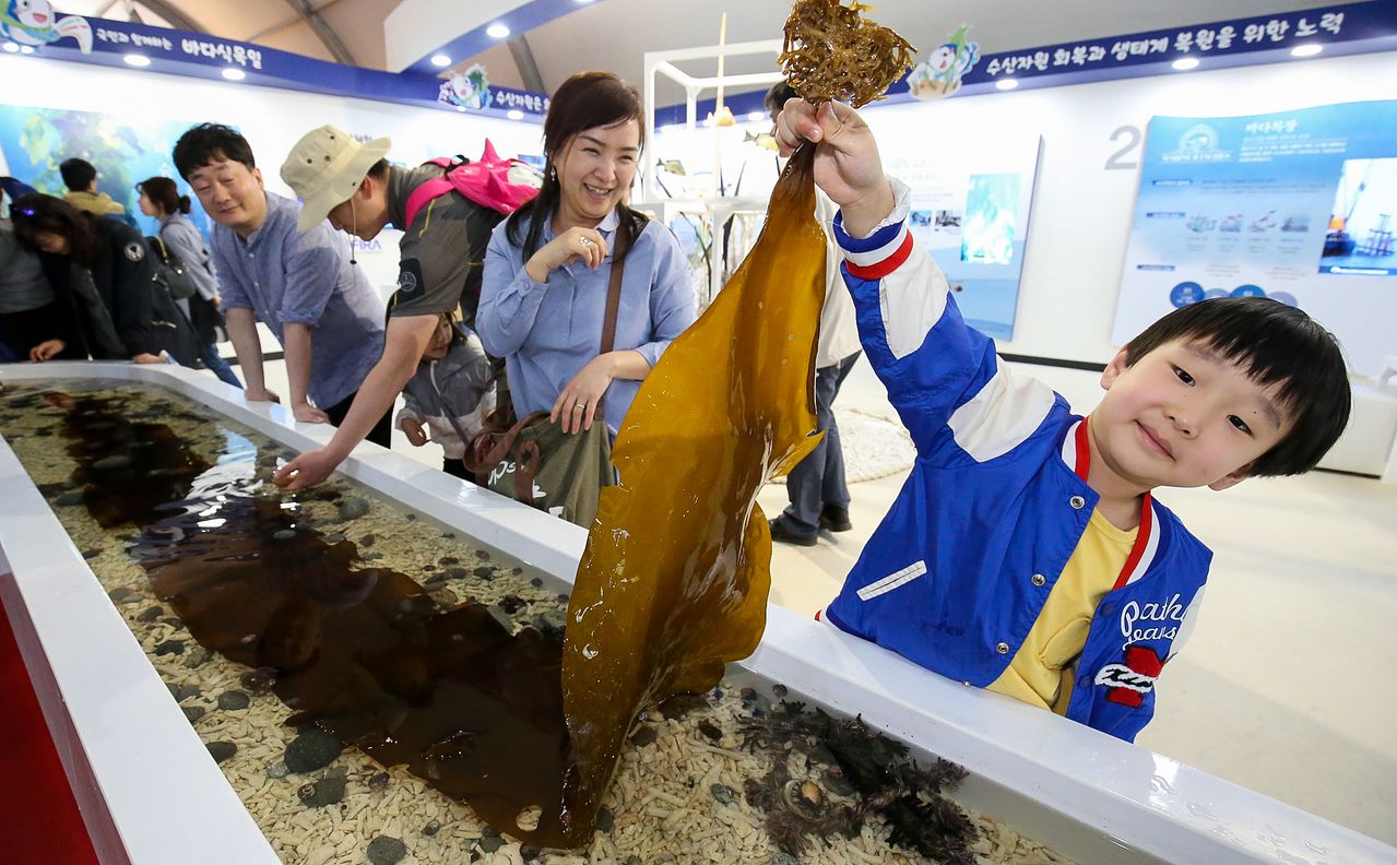2017년 국제해조류박람회장을 찾은 초등학생이 다시마를 들어보이고 있다. [중앙포토]