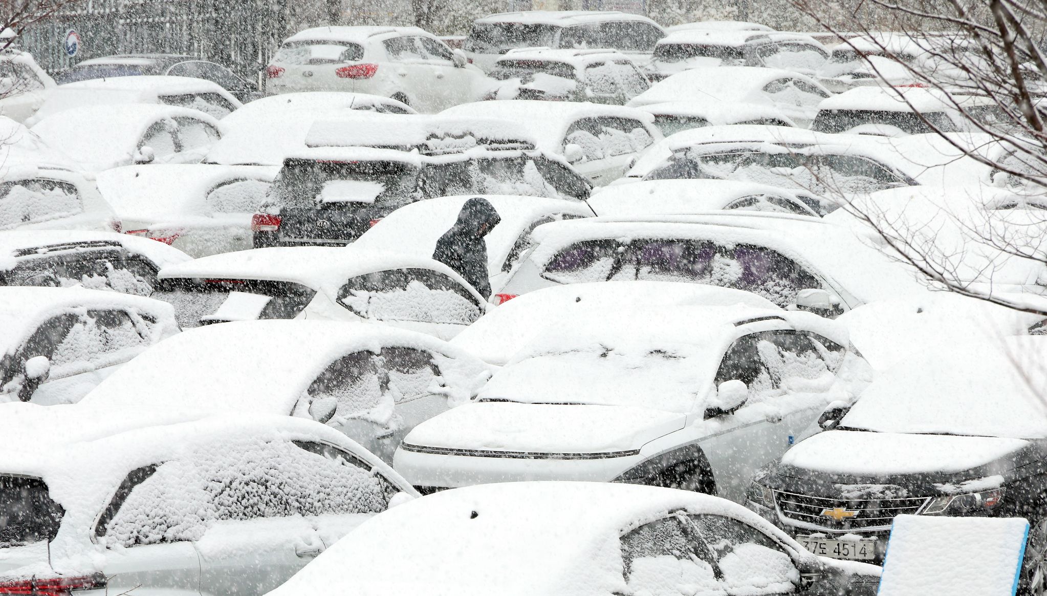 대설주의보가 발효되는 등 충청지역에 많은 눈이 내리고 있는 가운데 24일 정부세종청사 주차장에 눈이 쌓이고 있다. 뉴시스