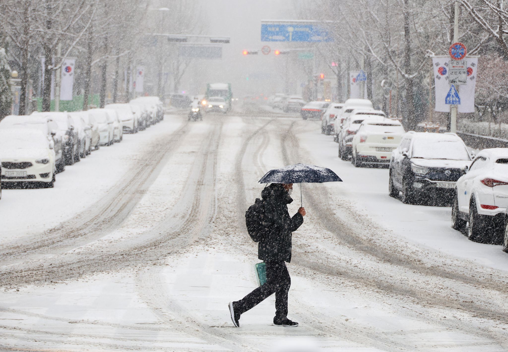 24일 오전 대전 서구 둔산동에 함박눈이 내리고 있다. 연합뉴스