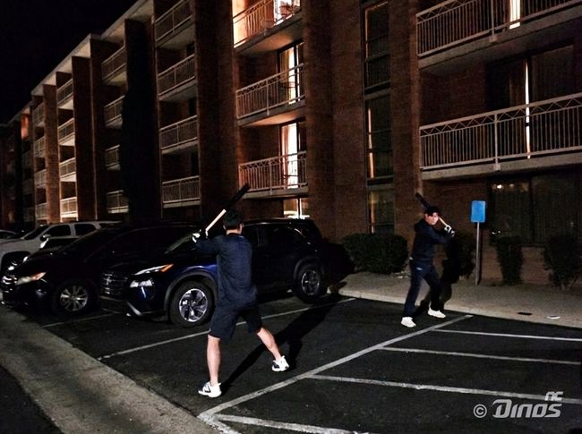 NC 다이노스 제공