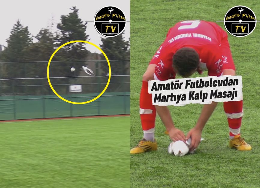 튀르키예에서 축구공에 맞아 추락한 갈매기를 한 선수가 심폐소생술로 살려내는 모습. 사진 구단 인스타그램 캡처