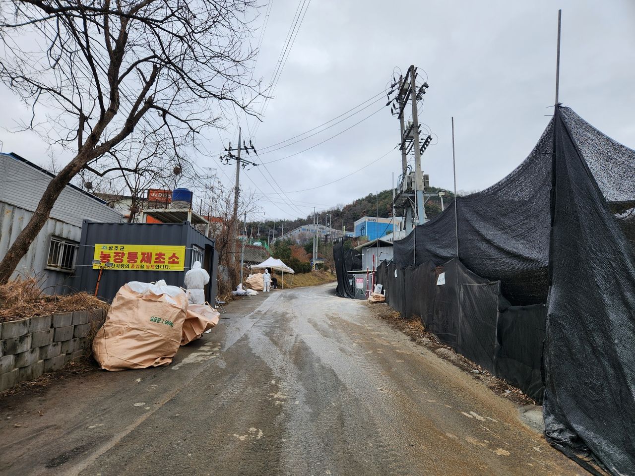 26일 경북 성주군 선남면 한 산란계 농장에 조류 인플루엔자가 발생해 방역당국이 출입을 제한하고 있다. 김정석 기자